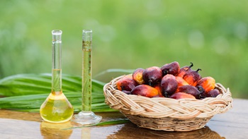 Olio di palma